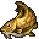 Barbel