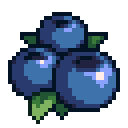 Blueberries