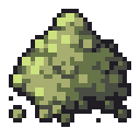 Champagne Yeast