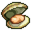 Clam