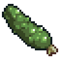 Cucumber