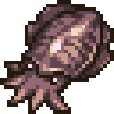 Cuttlefish