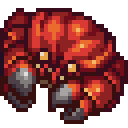 Dungeness Crab