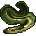 Eel