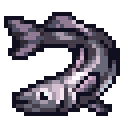 Hake