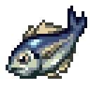 Horse Mackerel