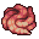 Intestine