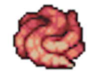 Intestines