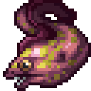 Moray