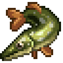 Pike
