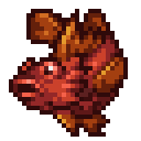 Red Scorpionfish