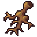 Root