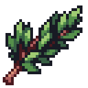 Rosemary
