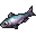 Sardine