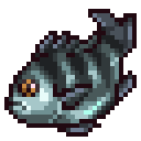 Sargo