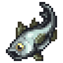 Sea Bass