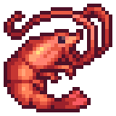 Shrimp