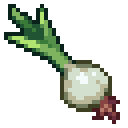 Spring Onion