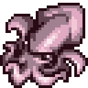 Squid