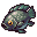Tilapia