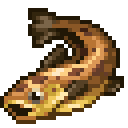 Trout