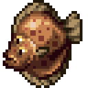 Turbot