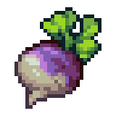 Turnip