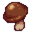 Wild Mushroom