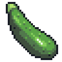 Zucchini